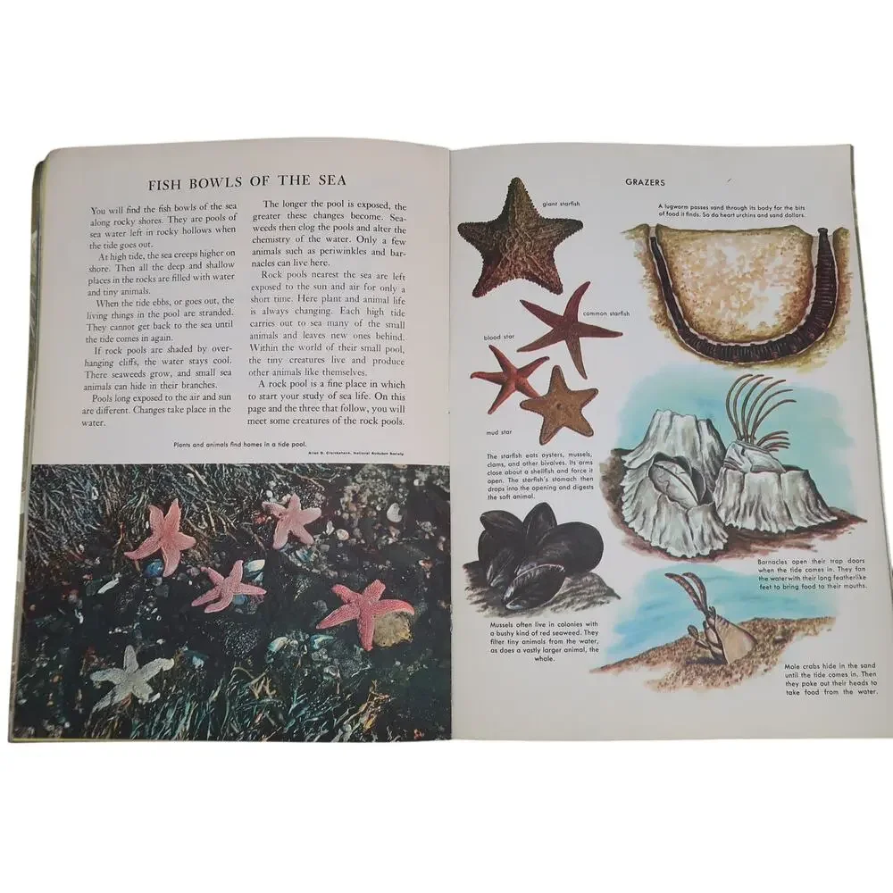 Golden Books Exploring Earth Book Oceanography 1973 Vintage Childrens Book